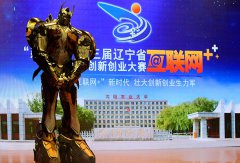 LNCU Student’s Art Work Won Gold Award in Students’ Innovation and Entrepreneurship Competition