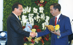 China, Indonesia to safeguard free trade
