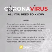 Notice on Prevention and Treatment of New Coroavirus