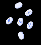 B.Sc.in Network&Multi-media Application